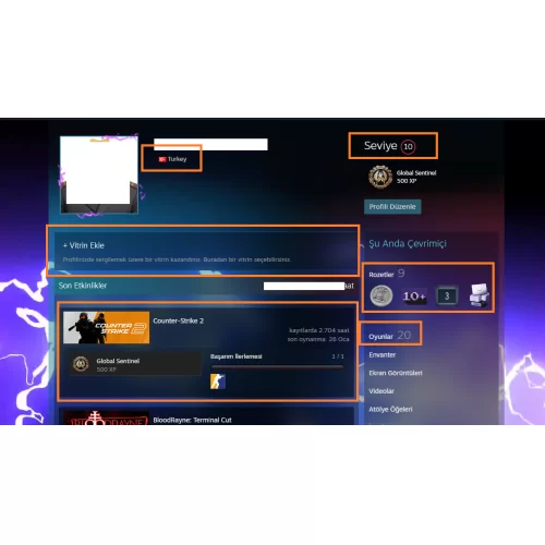  Forza Horizon 5 BioShock 1-2 Remastered-İnfinite SERİ 17.500 TL STEAM OYUN