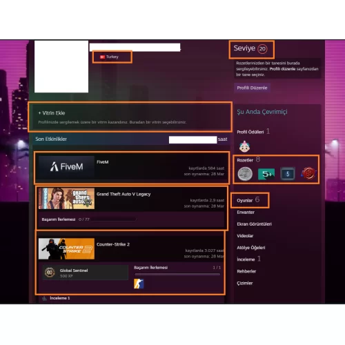  GTA V EA SPORTS FC 25-23 Assetto Corsa 6500 TL STEAM OYUN ENVANTERL