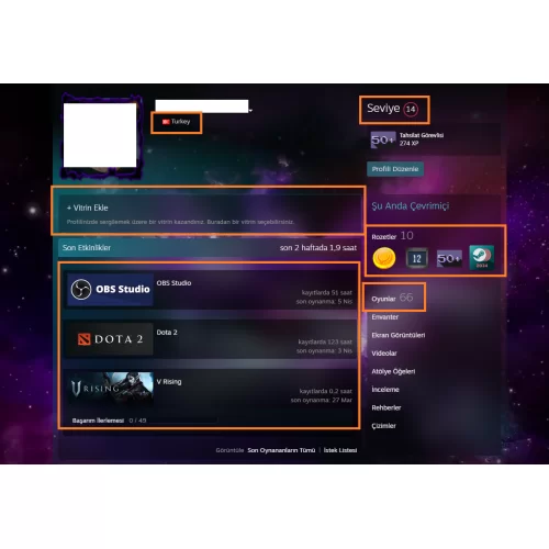  GTA V RUST PUBG PLUS SPORE Mortal Kombat 11 38.500 TL STEAM OYUN