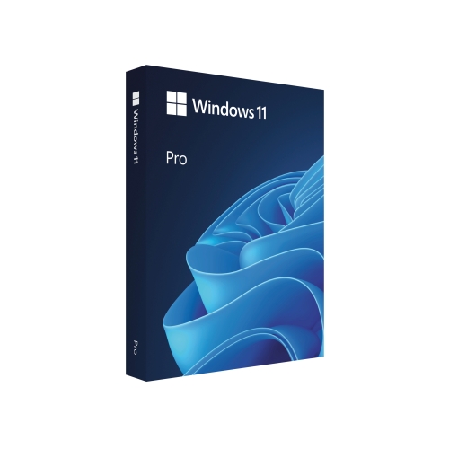 ⭐Windows 10-11 Pro RetailPerakende Online⭐