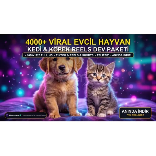 4000+ Viral Evcil Hayvan Kiti  Kedi, Köpek  Ya
