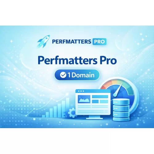  Perfmatters Pro 1 Yıllık