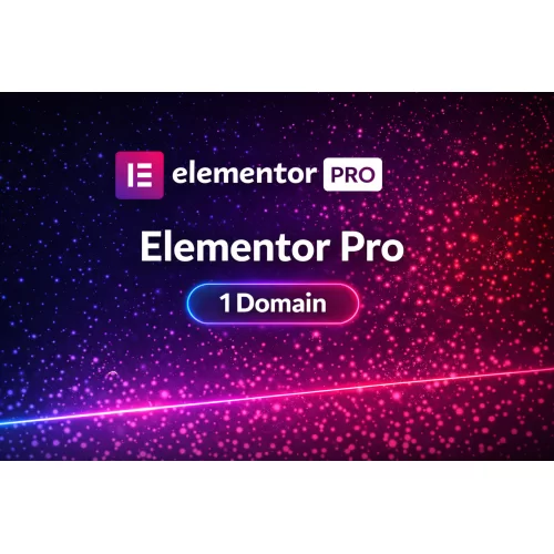  Elementor Pro 1 Yıllık Domain