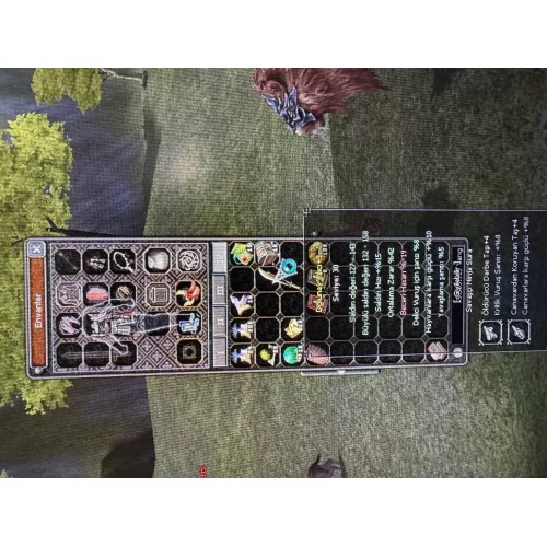  67 level orman canavarı farm için B sura