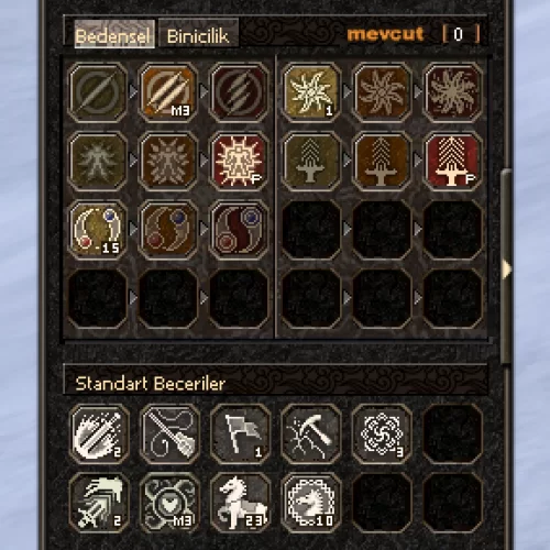  65 Lvl Bedensel 2 P\li