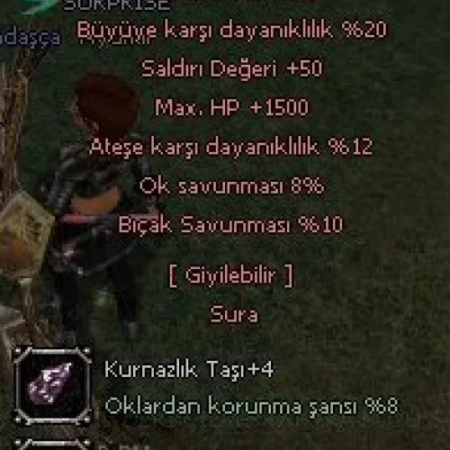 +9 KARABÜYÜ FARMLIK