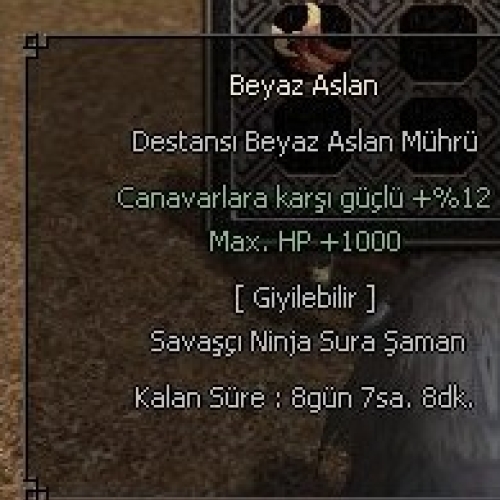  BEYAZ ASLAN