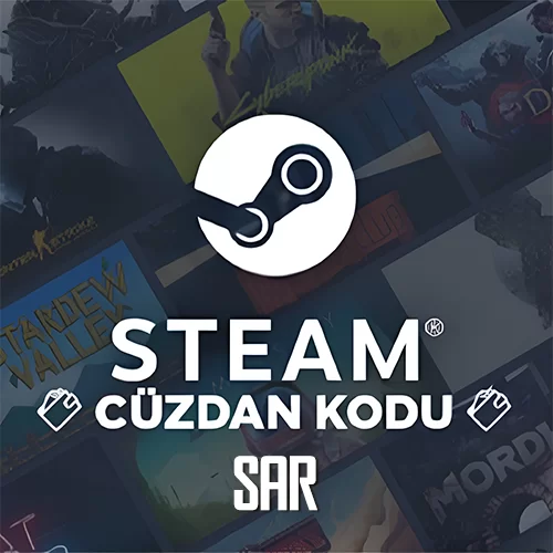  Steam 100 SAR