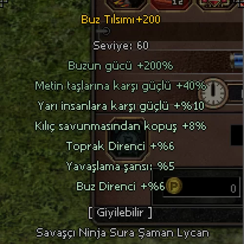 +200 Buz tılsımı