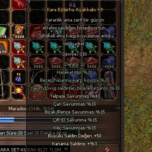 Kara Ejderha Ayakkabı +9