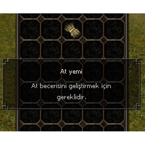 1.000 Adet At Yemi
