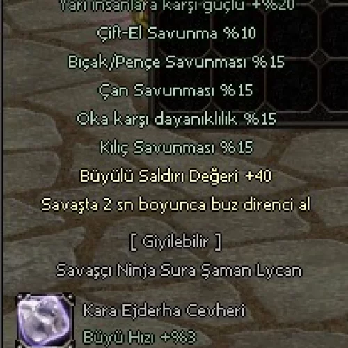  +9 KARA KOLYE