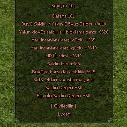  ÇİFT STR BÜYÜ STR STR MİTSEL KASK