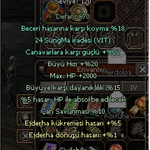  ŞAMANLIK YAKUT SVDE TEK