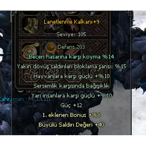  LANETLENME KALKANI BECERİ HASARINA KARŞI KOYMALI PATLAK