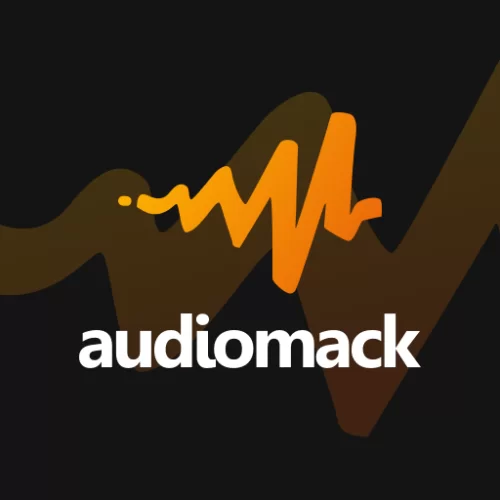  5000 Audiomack Streams - Düşme Olmaz