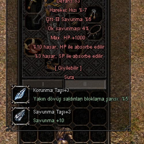 1000 HP -- 10 HP ABSORB +6 YİNG YANG