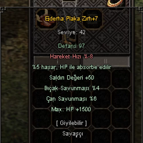  +7 EJDER PLAKA