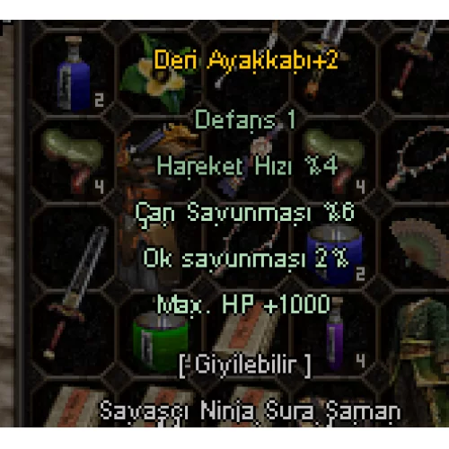  1000 HP 3 EFSUN DERİ AYAKKABI