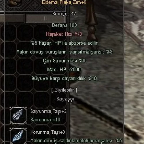 +8 EJDER PLAKA 2K HP 10 BÜYÜ P6