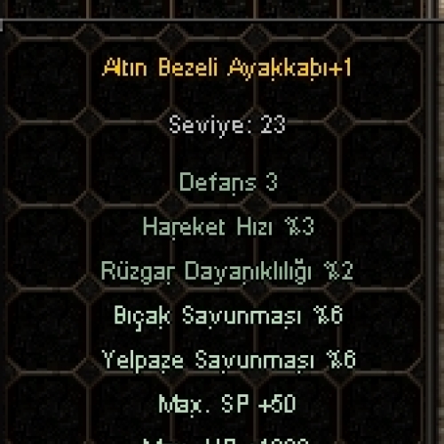+1 ALTIN BEZELİ AYAKKABI 1K HP 4 EFSUN