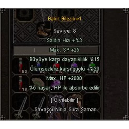  2000 HP 20 ÖLÜMSÜZ 15 BÜYÜ 5 HP ABS BİLEZİK