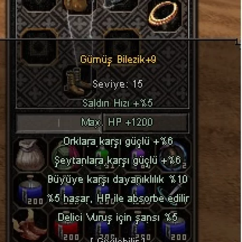  Gümüş Bilezik +9