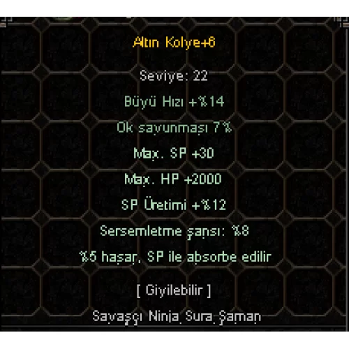  ALTIN KOLYE VE DERİ ÇİZME