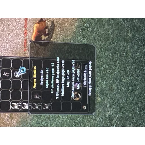 10 ABSORBE 2k HP ELİT BİLEZİK