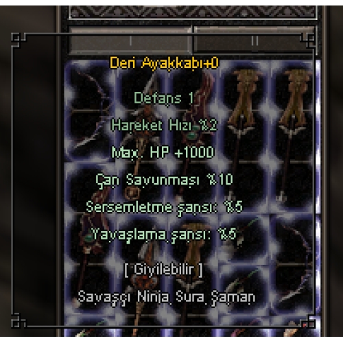 1000 HP + 5 SERSEM AYAKKABI