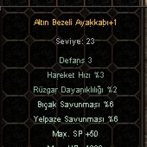 +1 ALTIN BEZELİ AYAKKABI 1K HP 4 EFSUN