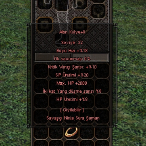 +8 2K HP 10 KRİTİK ELİT ALTIN KOLYE