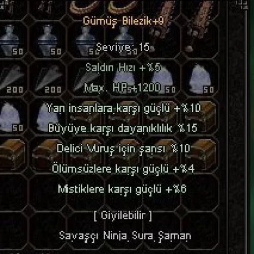  +9 Gümüş Bilezik 10 yarı 15 büyü 10 delici