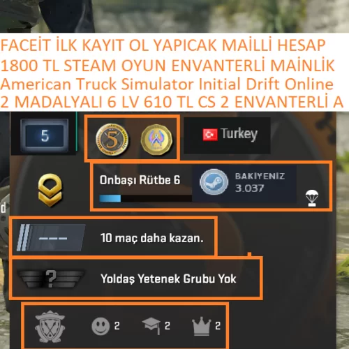 2 MADALYALI 6 LV FACEİT 610 TL CS 2 ENVANTERLİ American Truck Simula