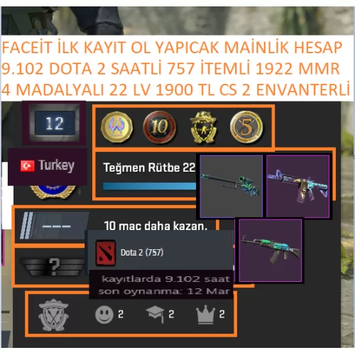  4 MADALYALI 22 LV 1900 TL CS 2 ENVANTERLİ 9.102 SAATLİ DOTA 2 757 AD