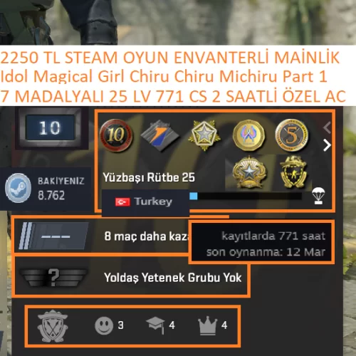  7 MADALYALI 25 LV 2250 TL STEAM OYUN ENVANTERLİ MAİNLİK HESAP AC STEAM LV 8