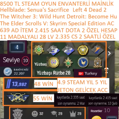  11 MADALYALI 28 LV The Witcher 3 Detroit: Become Human 8500 TL STEAM