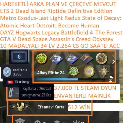  10 MADALYALI 34 LV GTA V DAYZ BF 4 Hogwarts Legacy Dead Space 37.000 TL