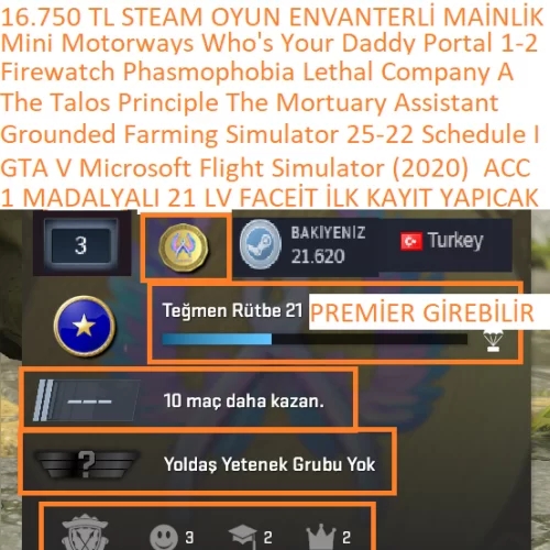  1 MADALYALI 21 LV FACEİT GTA V Microsoft Flight Simulator 2020 Grounded