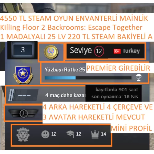  1 MADALYALI 25 LV 220 TL STEAM BAKİYELİ Killing Floor 2 Undercroft Warriors