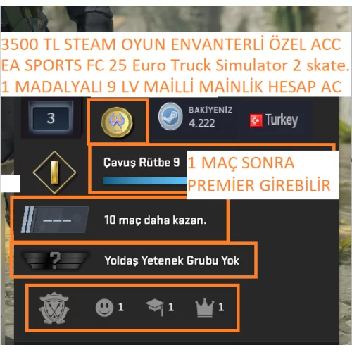  1 MADALYALI 9 LV EA SPORTS FC 25 Euro Truck Simulator 2 3500 TL STEAM