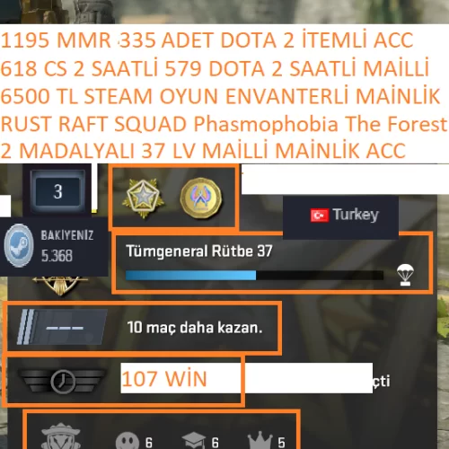  2 MADALYALI 37 LV RUST SQUAD RAFT 6500 TL STEAM OYUN ENVANTERL