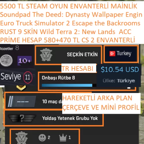  PRİME HESAP 8 LV RUST TR HESABI 580+470 TL CS 2 ENVTR VE STEAM