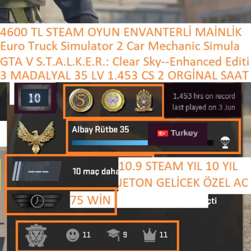  3 MADALYALI 35 LV 1.453 CS 2 SAATLİ GTA V ETS 2 S.T.A.L.K.E.R.:Clear Sky