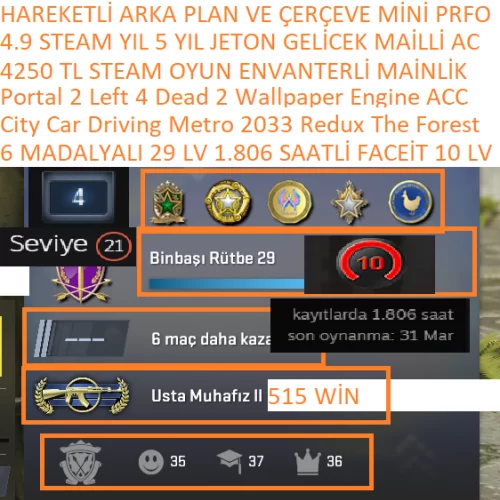  6 MADALYALI 29 LV FACEİT 10 LV 1806 SAATLİ City Car Driving Metro 2033