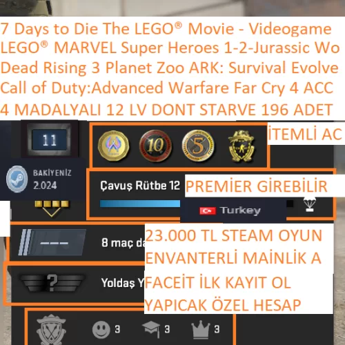  4 MADALYALI 12 LV FACEİT Don\t Starve Together 196 AD İTEM Call of Duty