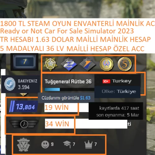  5 MADALYALI 36 LV TR HESABI Ready or Not 1800 TL STEAM OYUN