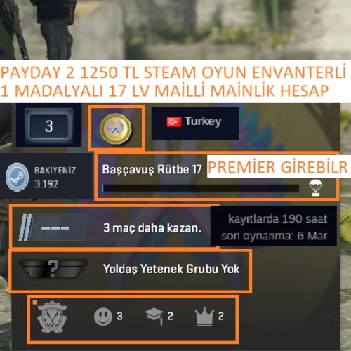  1 MADALYALI 17 LV PAYDAY 2 1250 TL STEAM OYUN ENVANTERLİ MAİLLİ