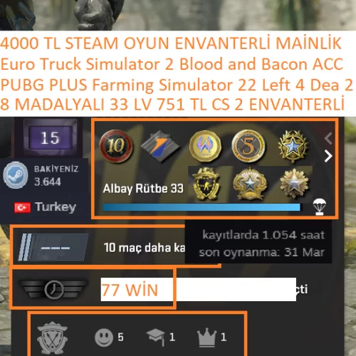  8 MADALYALI 33 LV 751 TL CS 2 ENVANTERLİ PUBG PLUS ETS 2 Farming