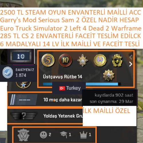  6 MADALYALI 14 LV İLK MAİLLİ FACEİTLI 285 TL CS 2 ENVANTERLİ ETS 2